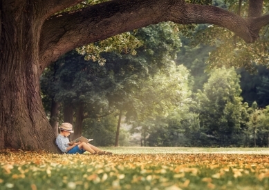 Young boy reading under a tree